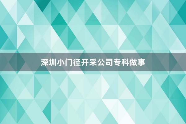 深圳小门径开采公司专科做事