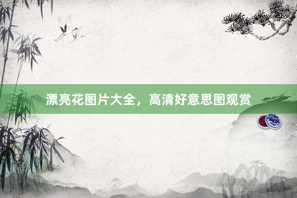 漂亮花图片大全，高清好意思图观赏