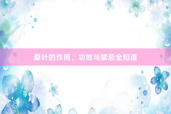 桑叶的作用、功效与禁忌全知道