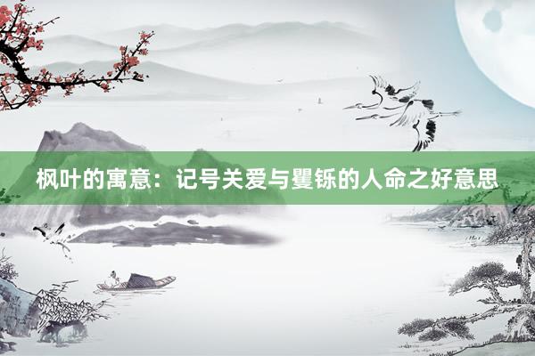 枫叶的寓意：记号关爱与矍铄的人命之好意思