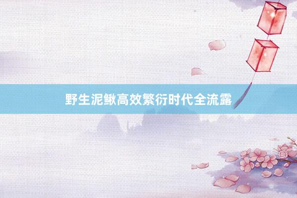 野生泥鳅高效繁衍时代全流露